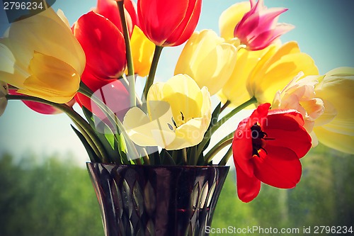 Image of Bouquet of colorful spring tulips in a vase