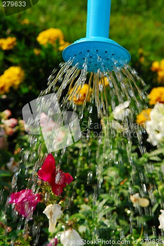 Image of Watering flowers