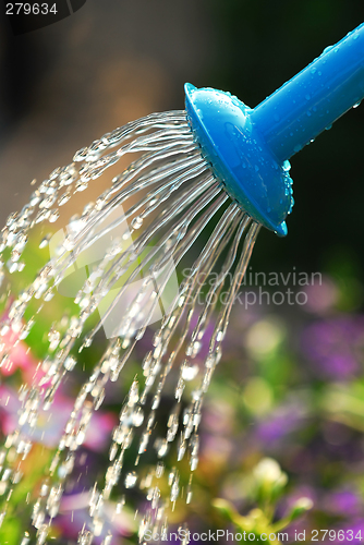 Image of Watering flowers