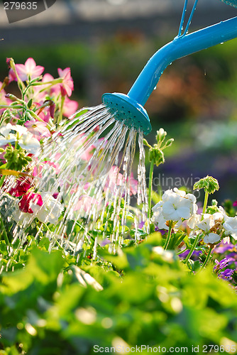 Image of Watering flowers