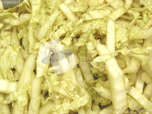 Image of Cutted chinese cabbage in a close-up view