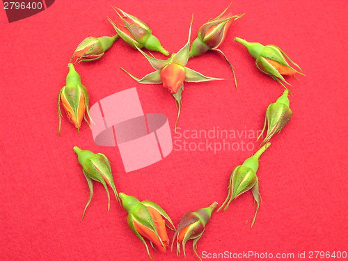 Image of Rose buds arranged as heart on red felt