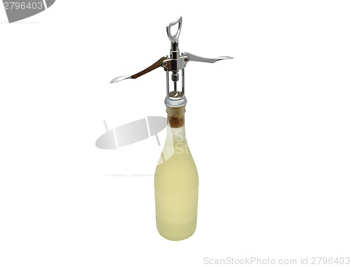 Image of White wine and corkscrew