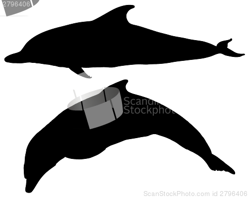 Image of Dolphins silhouettes