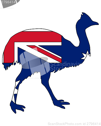 Image of Kassowary Australia