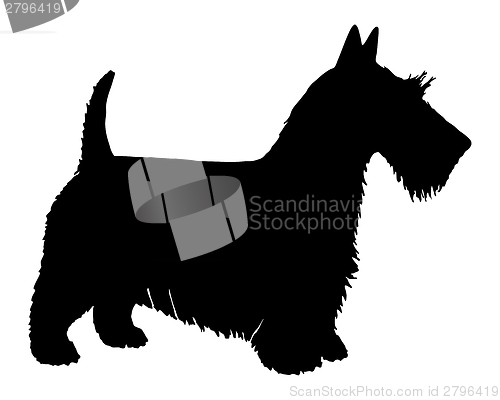 Image of The black silhouette of a Scottish Terrier