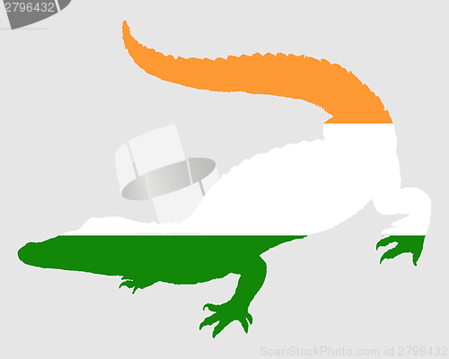 Image of Crocodile India