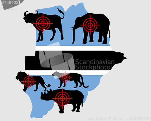 Image of Big Five cross hairs Botswana