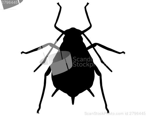 Image of Aphid Silhouette