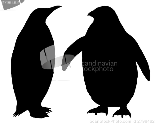 Image of Penguin Silhouette