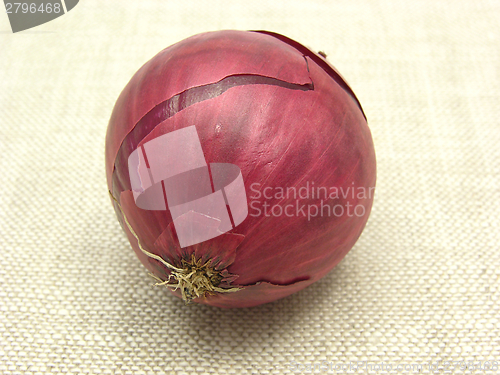 Image of Red Onion arranged on a beige linen cloth