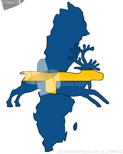 Image of Swedish reindeer