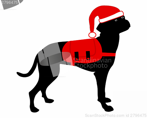 Image of Dog with rucksack an christmas hat