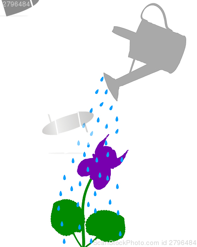 Image of Watering pot and flower