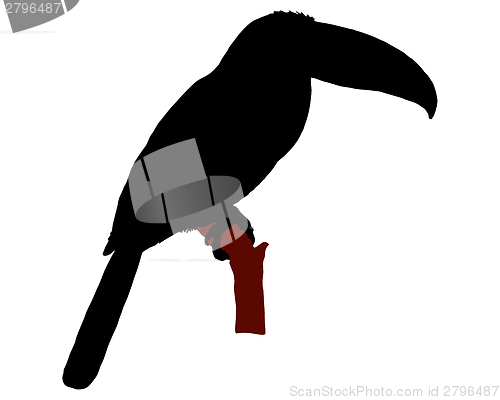 Image of The black silhouette of a toucan sitting on a branch