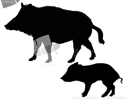 Image of Wild boars silhouettes