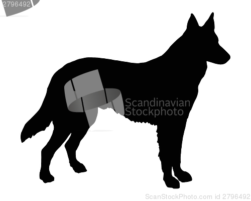 Image of The black silhouette of a Shepherd Dog