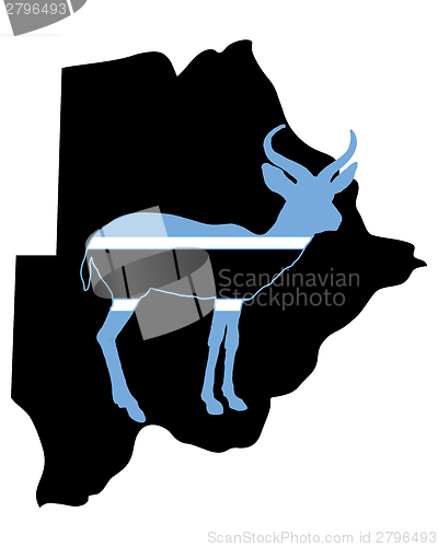 Image of Botswana antelope