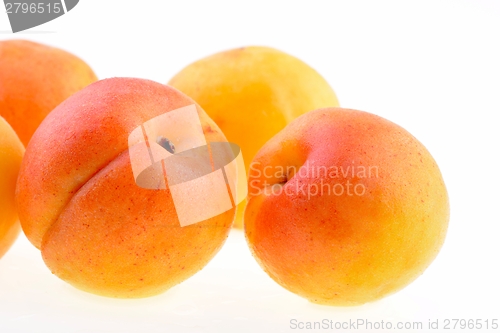 Image of Ripe apricot closeup 