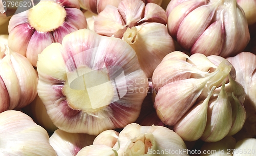 Image of Pile of white purple garlic