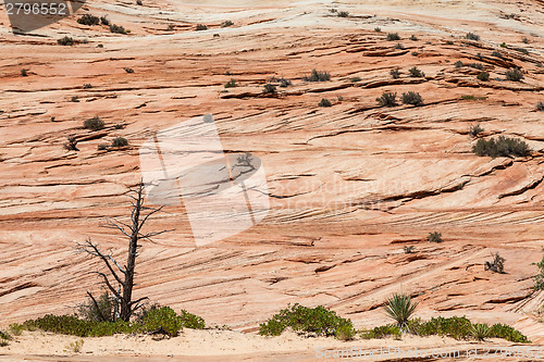 Image of Zion National Park