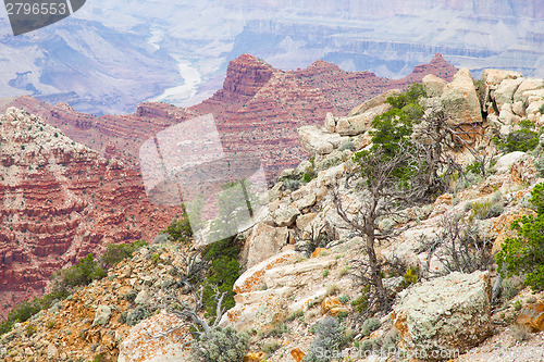 Image of Grand Canyon