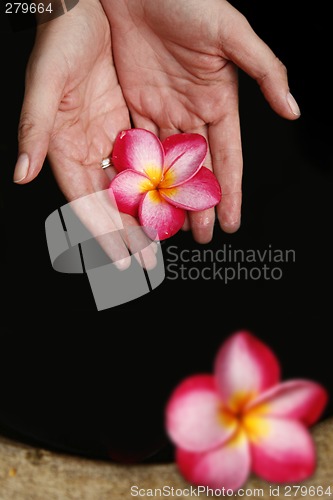 Image of Hand and Flowers