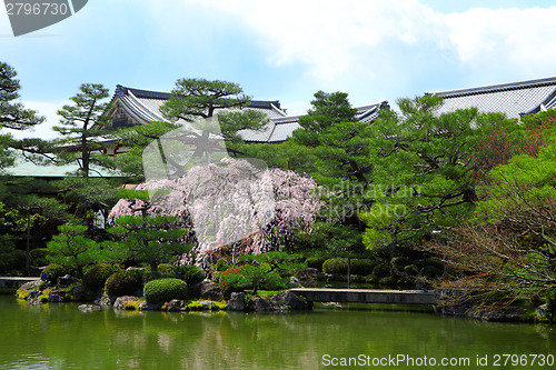 Image of Tropical Garden with Japanese style pavilion
