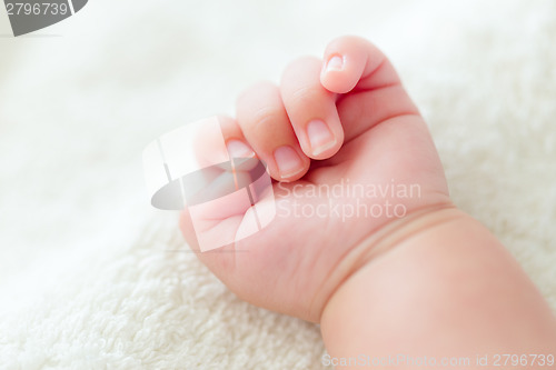 Image of Newborn baby hand 