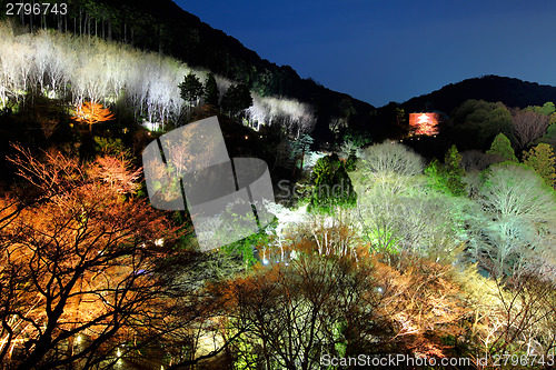 Image of Japanese temple