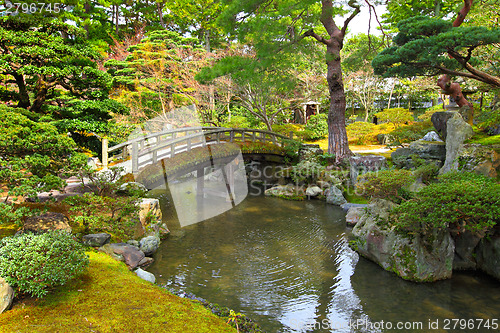 Image of Beautiful Japanese garden