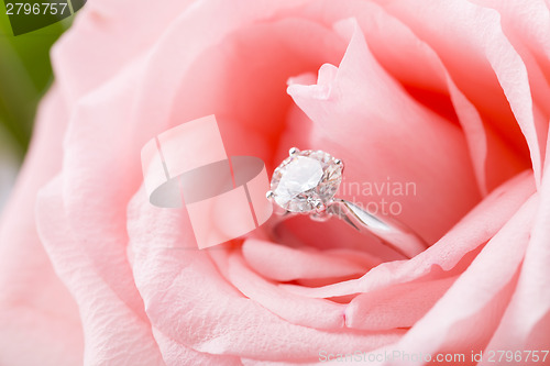 Image of Pink Rose with diamond ring