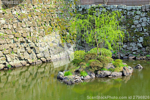 Image of Japanese garden with lake