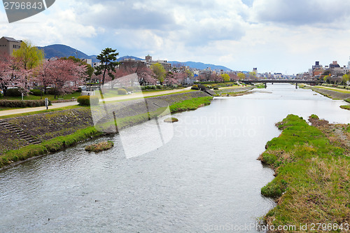 Image of Kamo river in Kyoto