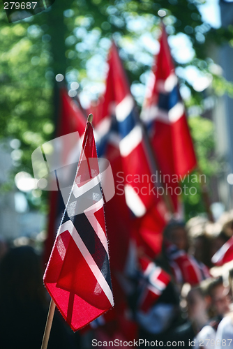 Image of A forest of Norwegian flags.