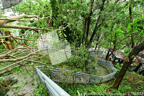 Image of Damaged after typhoon