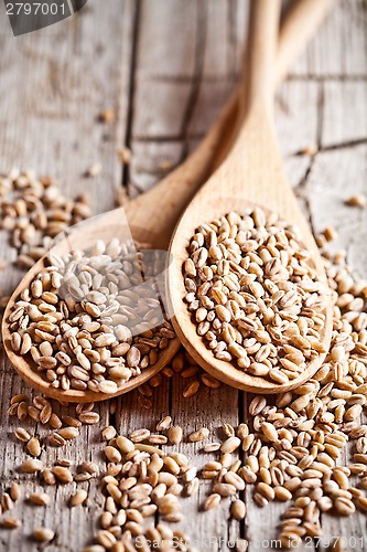 Image of wheat grain in wooden spoons