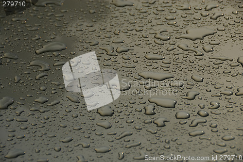 Image of Rain Drops