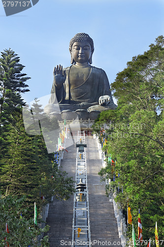 Image of Giant Buddha Statue in Tian Tan