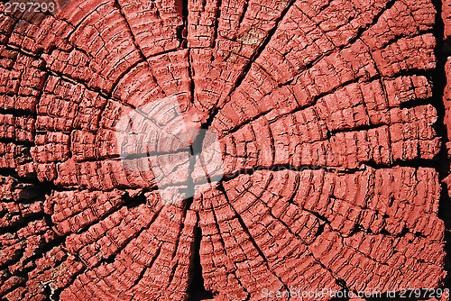 Image of Wooden Log Texture