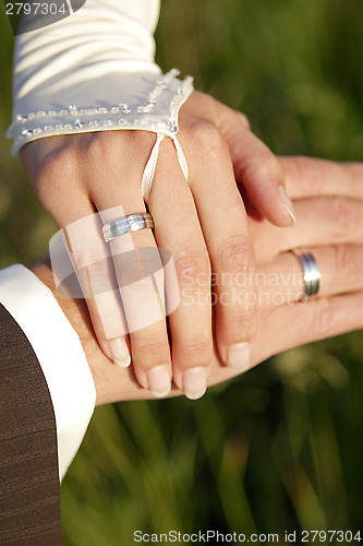 Image of Hands of a bride and groom