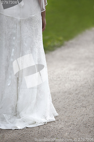 Image of Wedding Dress