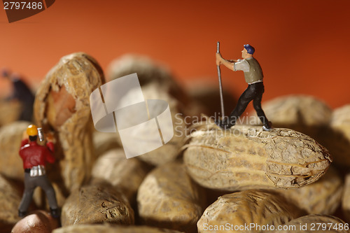 Image of Plastic People Working on Peanuts