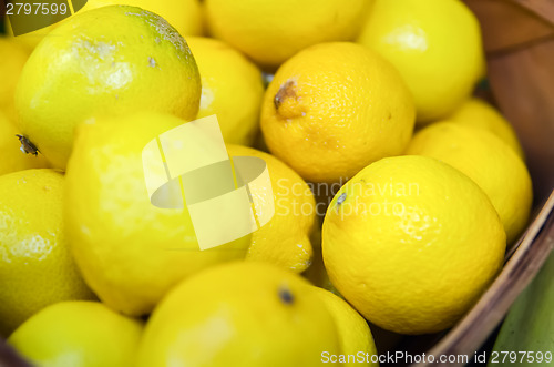 Image of Colorful Display Of Lemons In Market in a basket