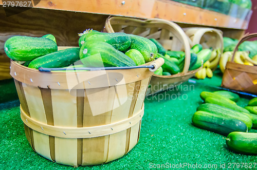 Image of Green Cucumbers At A Street Market on display