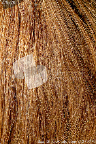 Image of Natural blonde