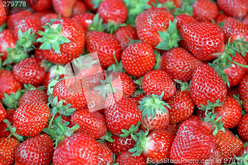 Image of Strawberry