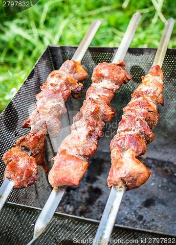 Image of Hot shish kebab on metal skewers