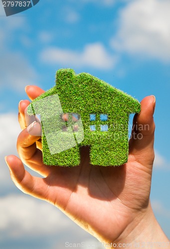 Image of Grass home