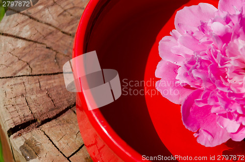 Image of pink peony petals in clay bowl on wooden surface 